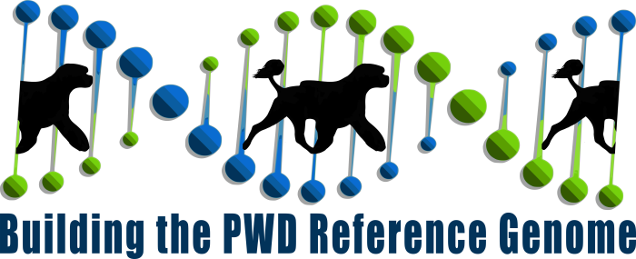 Building the PWD Reference Genome