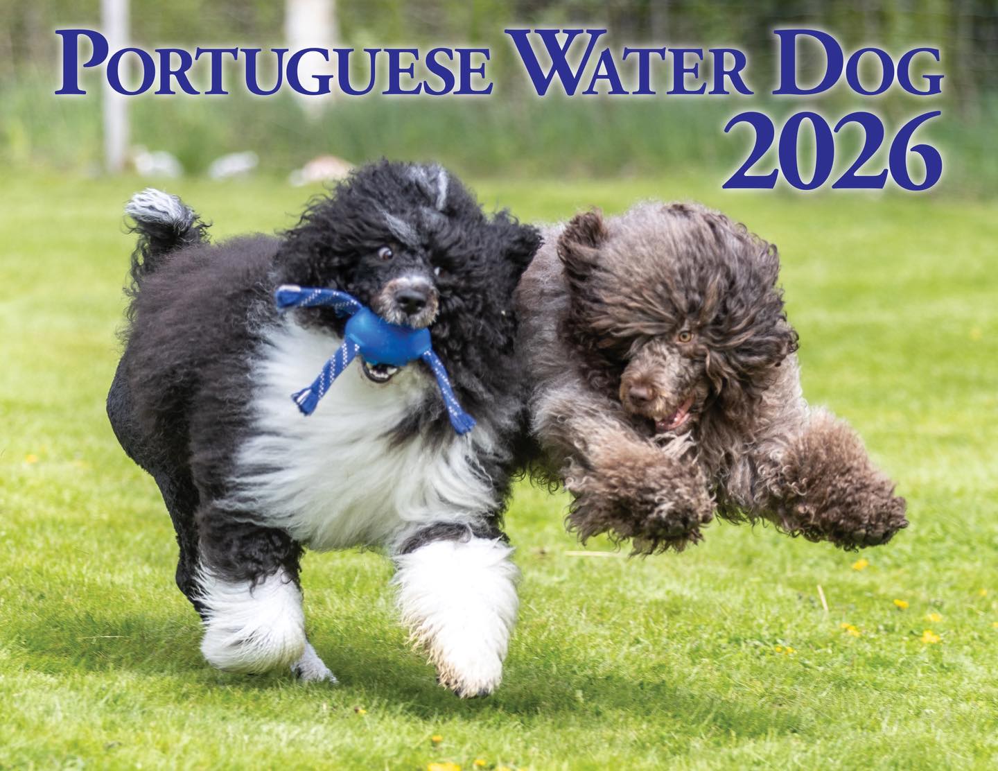 Nutmeg Calendar 2026