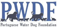 Portuguese Water Dog Foundation