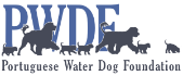 PWD Foundation